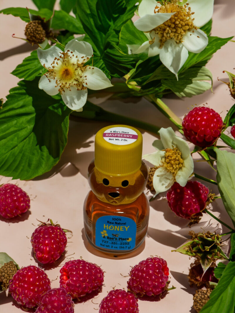 Baby Bear Raspberry Blossom Honey by A Bees Place 2oz