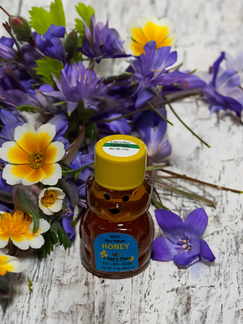 Baby Bear Spring Wildflower Honey by A Bees Place 2oz