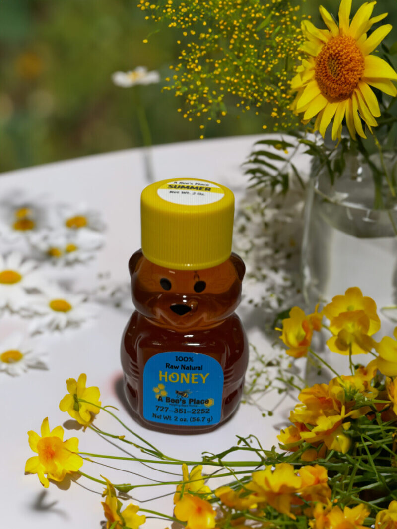Baby Bear Summer Wildflower Honey by A Bees Place 2oz