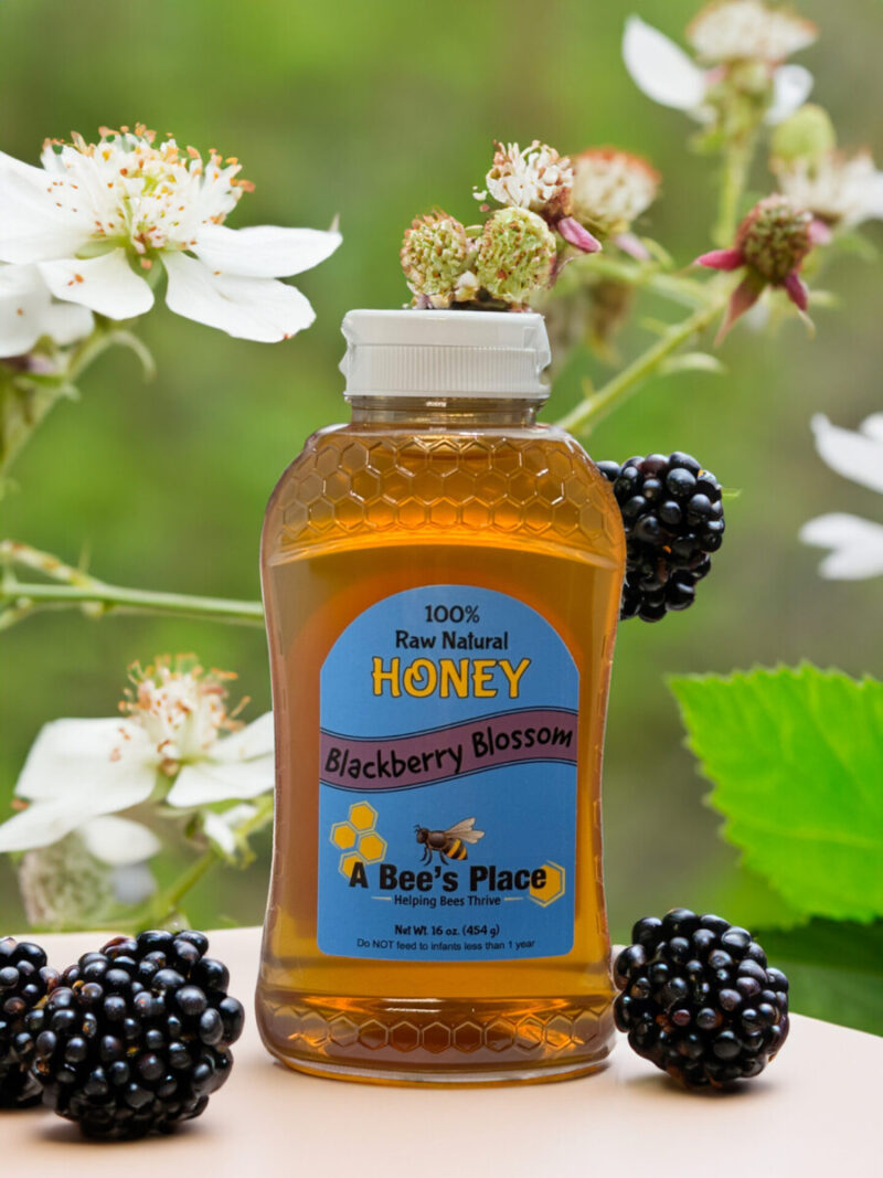 Blackberry Blossom Honey by A Bees Place 16oz