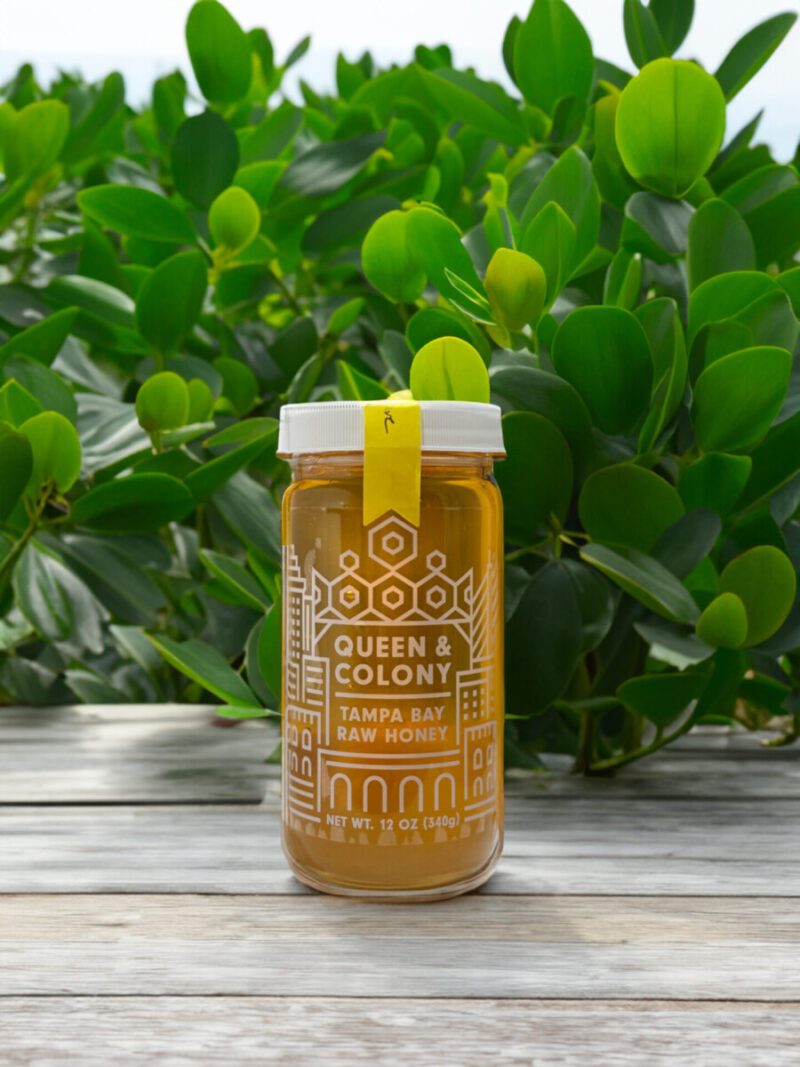 Tampa Bay Raw Honey Queen & Colony Mangrove